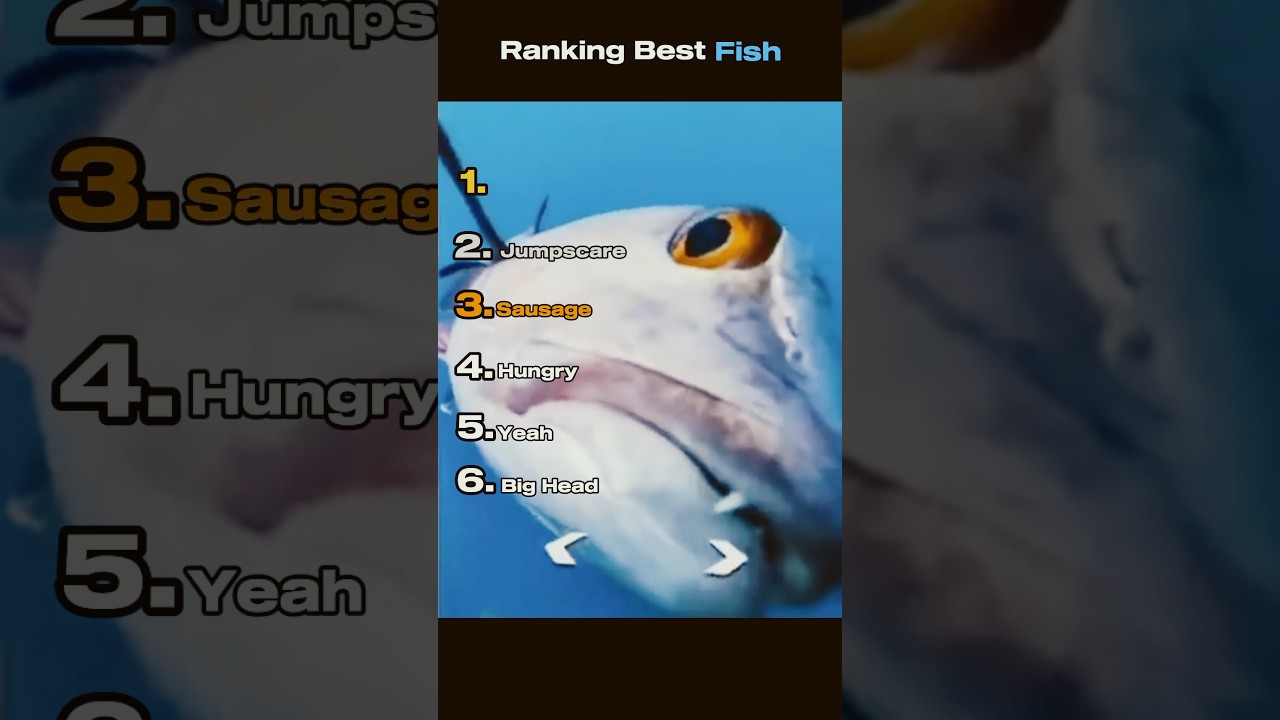 Ranking Best Fish #funnyvideo #ranking #fish