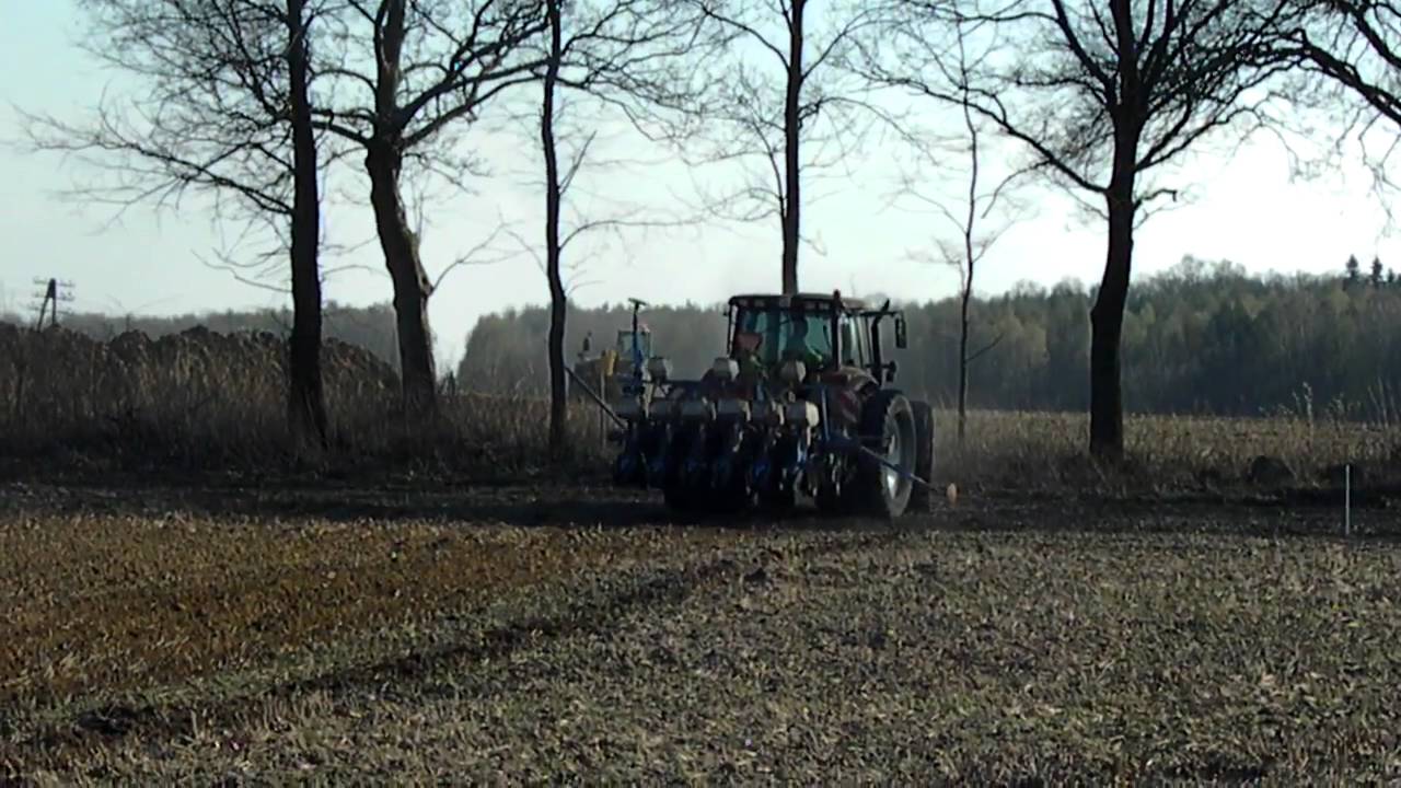 Valtra T160 + strip till-sianie słonecznika