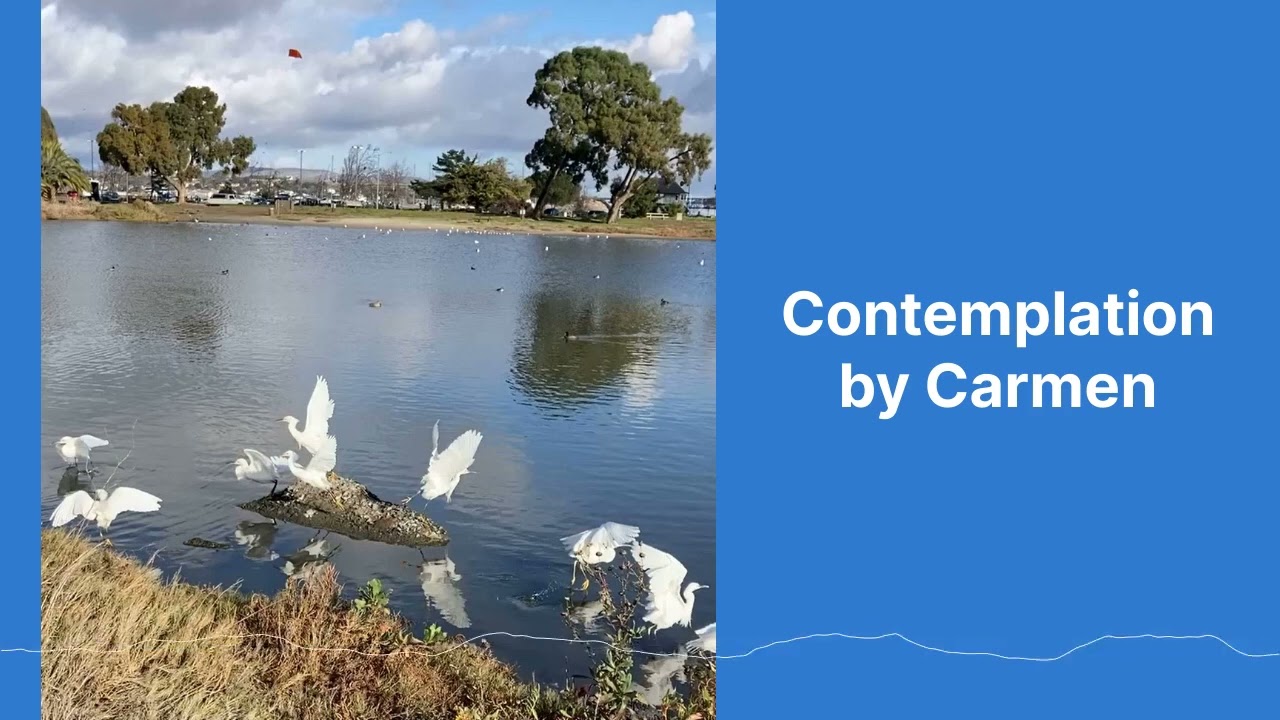Contemplation: A Meditation, Read by Carmen