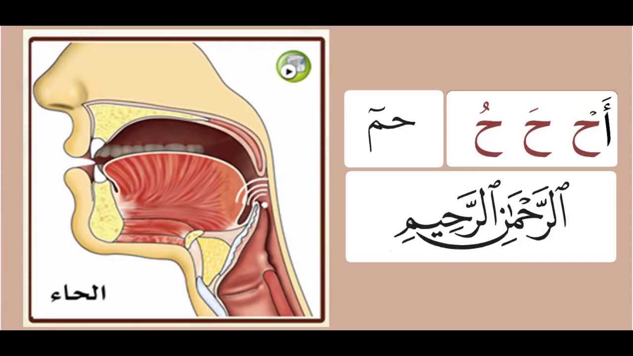 Practicing the letters ح and ع