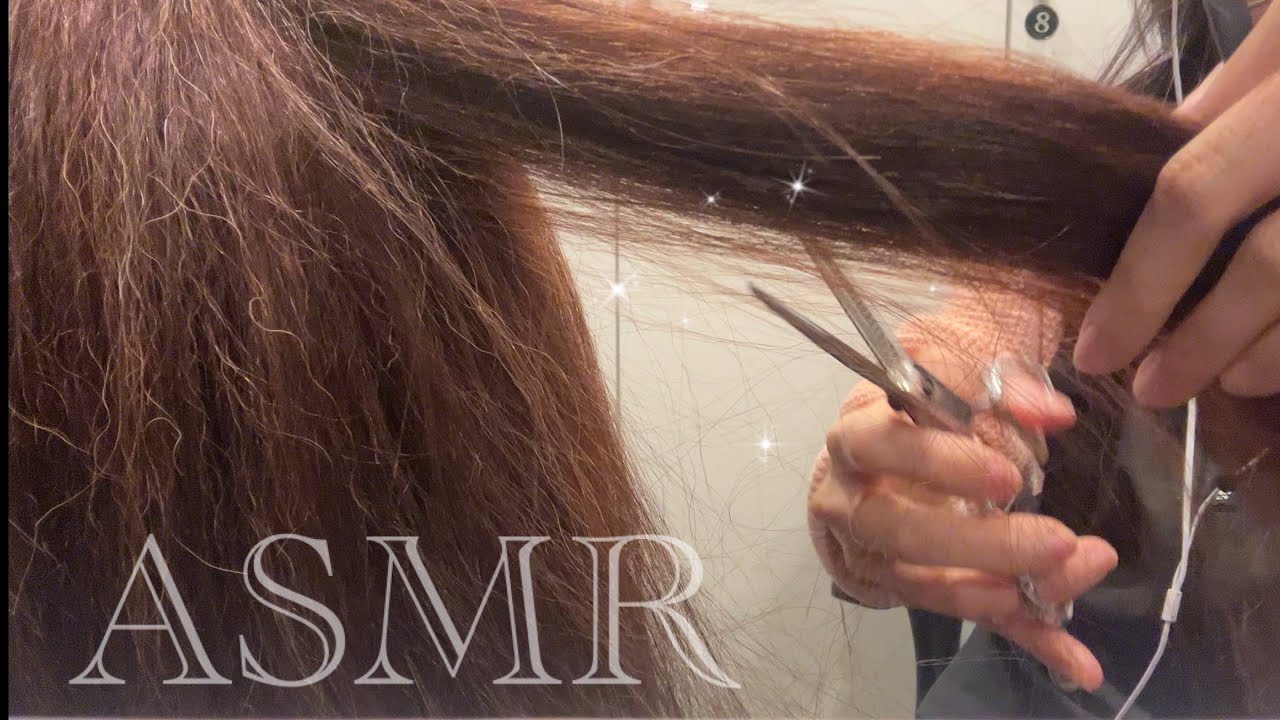 ASMRㅣ리얼 컷트소리 사각사각