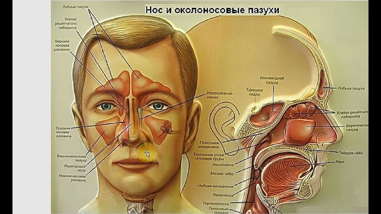 Вокальная маска. Резонаторное пение