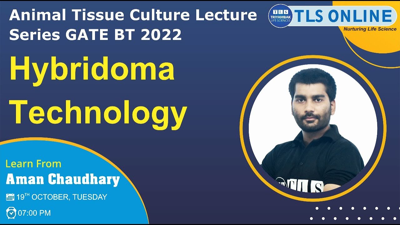 Hybridoma Technology