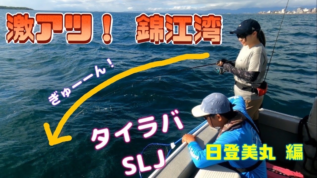 【SLJ タイラバ】激アツ錦江湾で何が釣れてるか調査隊！日登美丸編