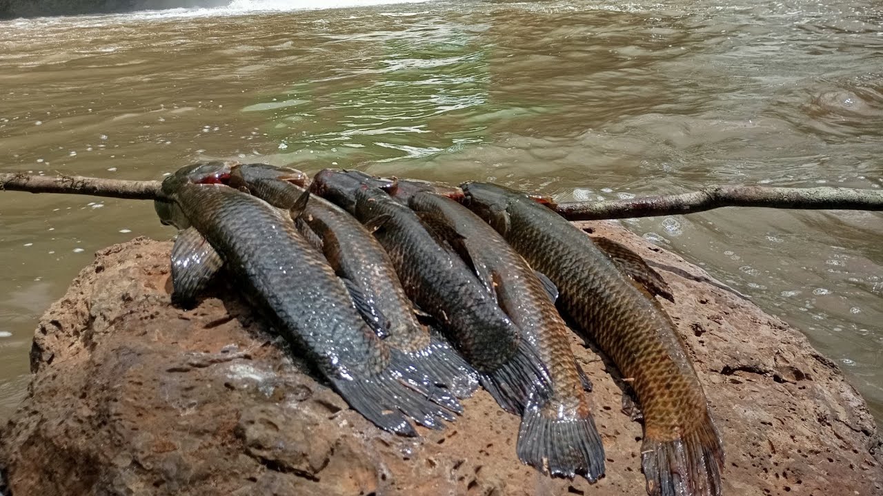 Elas estavam na cachoeira 