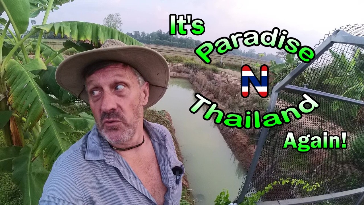 It's Paradise N Thailand Again!