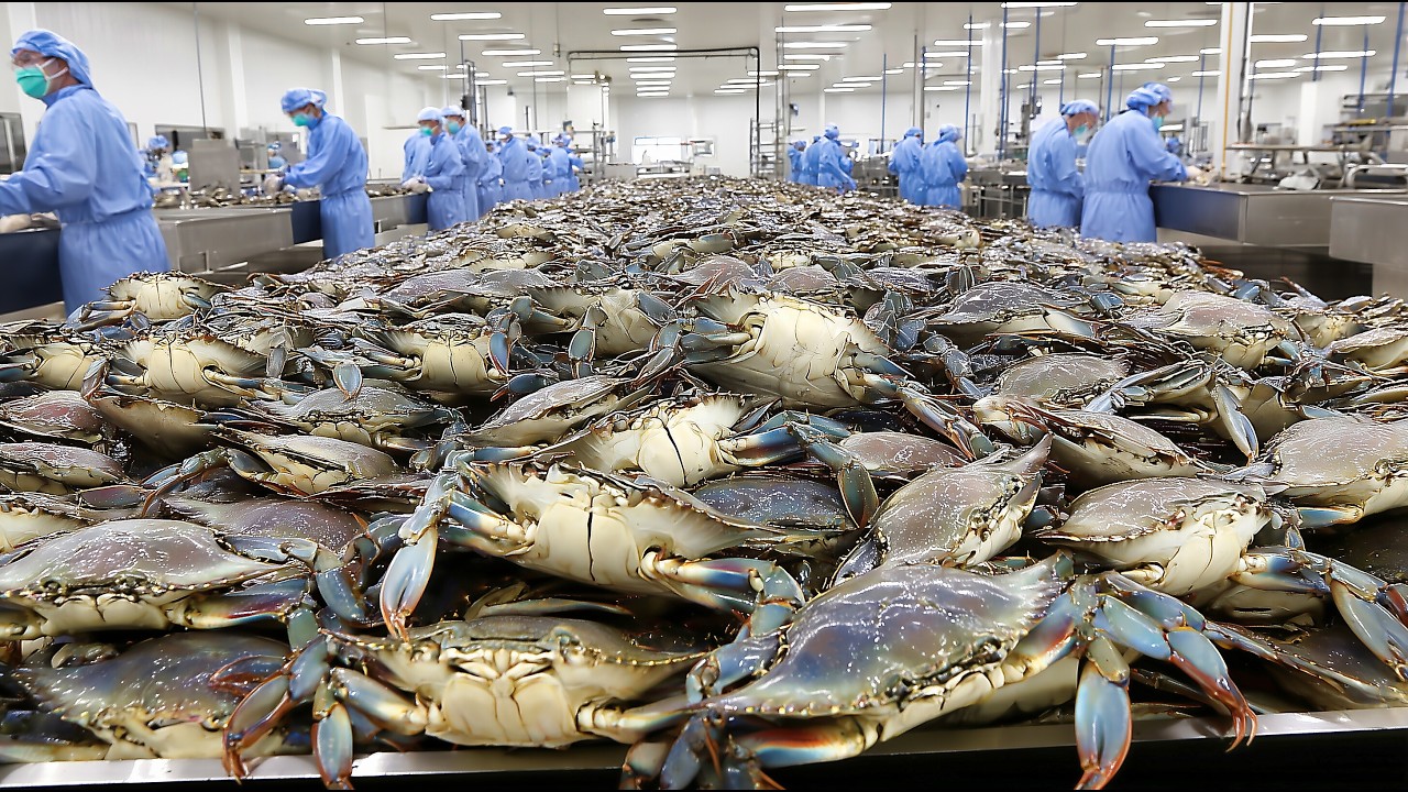 БЕЗУМНЫЙ ВИЗУАЛ! Корейский ресторан морепродуктов от которого отвисает челюсть