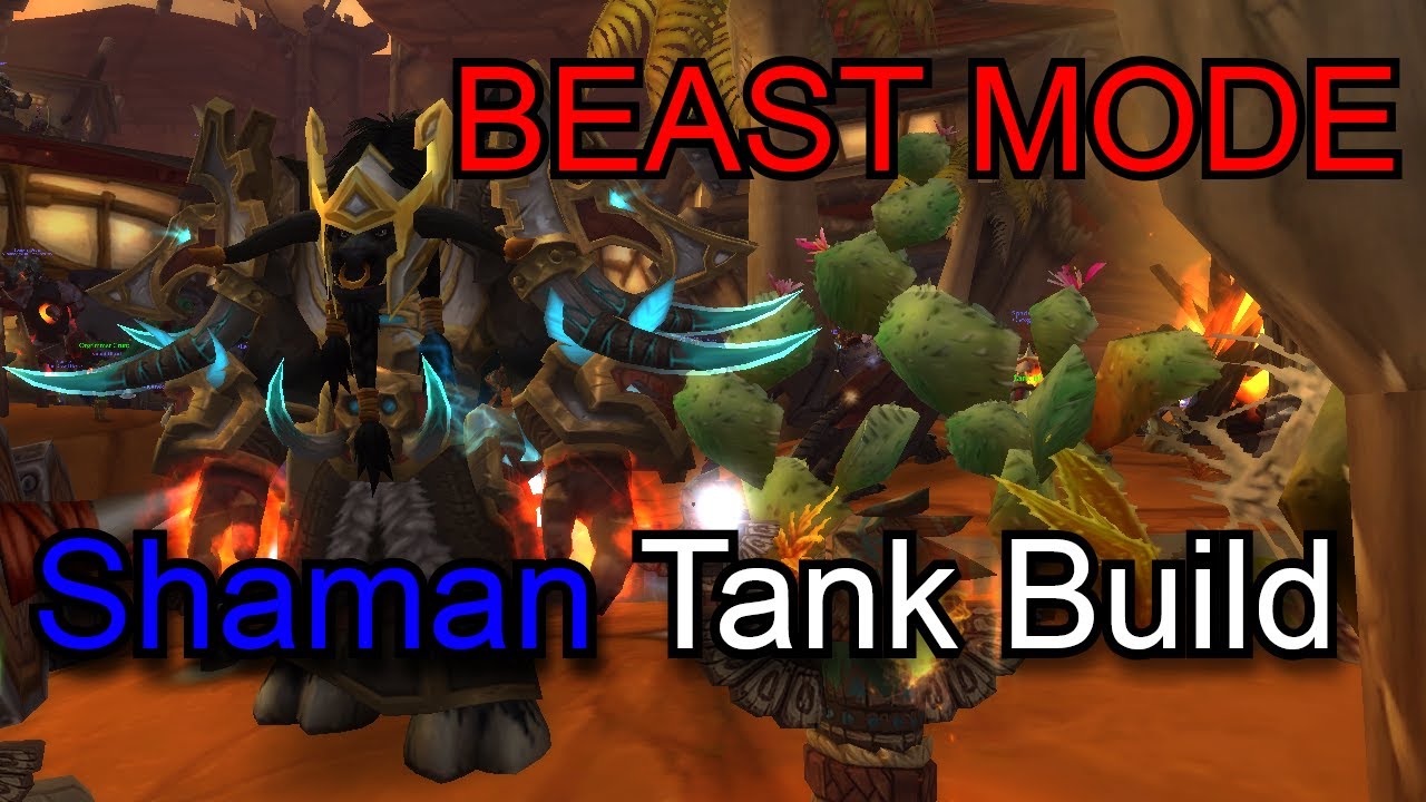 Shaman Tank Build - Classic+ Ascension