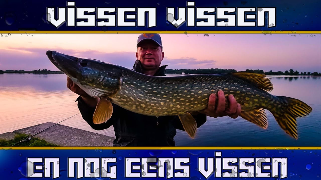 Vissen Vissen en nog eens Vissen