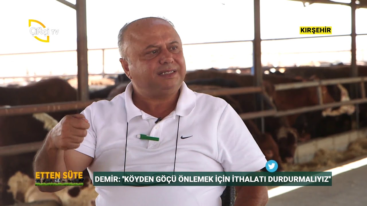 Açık Besi İşletmeciliği Nasıl Yapılır ? - Etten Süte / Çiftçi TV
