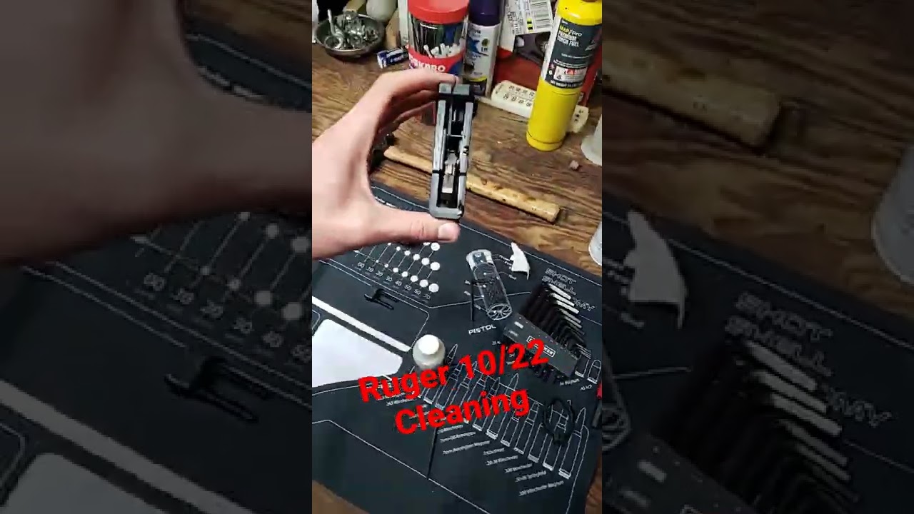Очистка Ruger 10/22