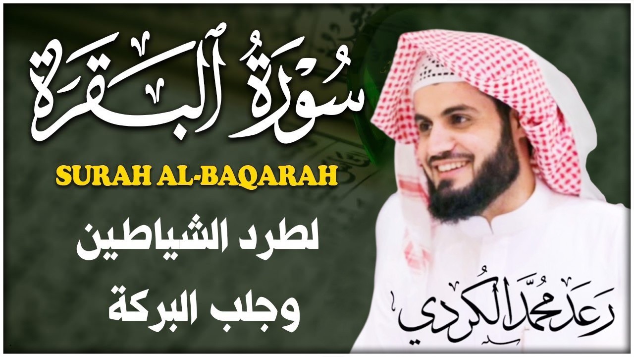 سورة البقرة كاملة بالترتيل السريع بصوت يُذهل القلوب 💛 | القارئ رعد الكردي