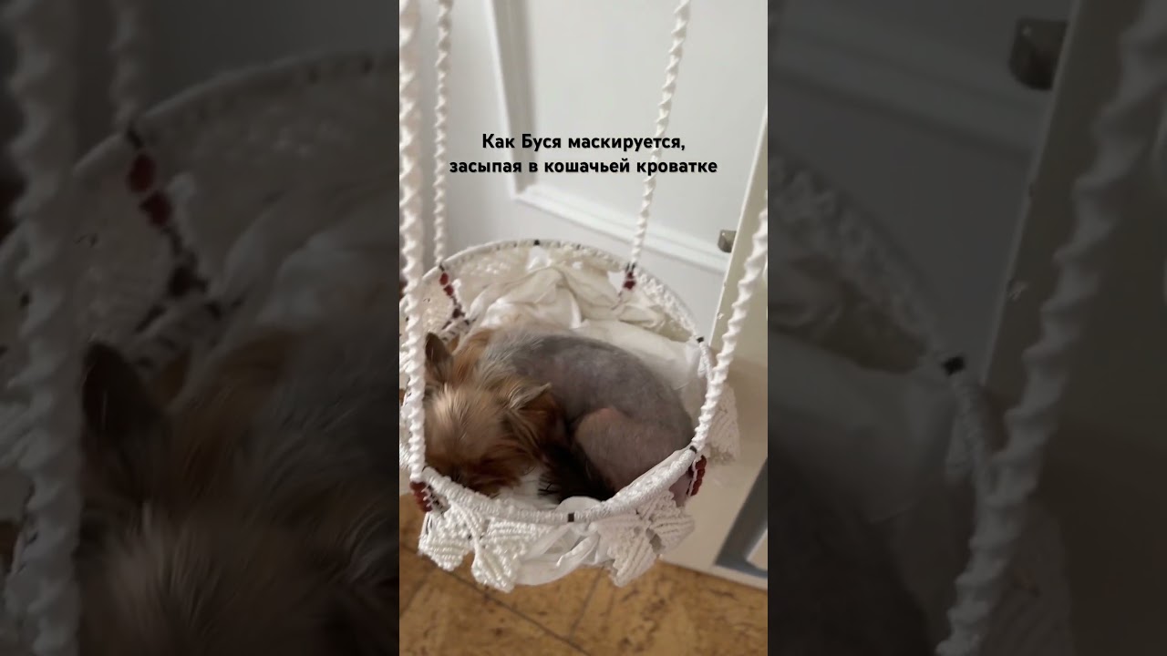 Бусинка очаровательная 