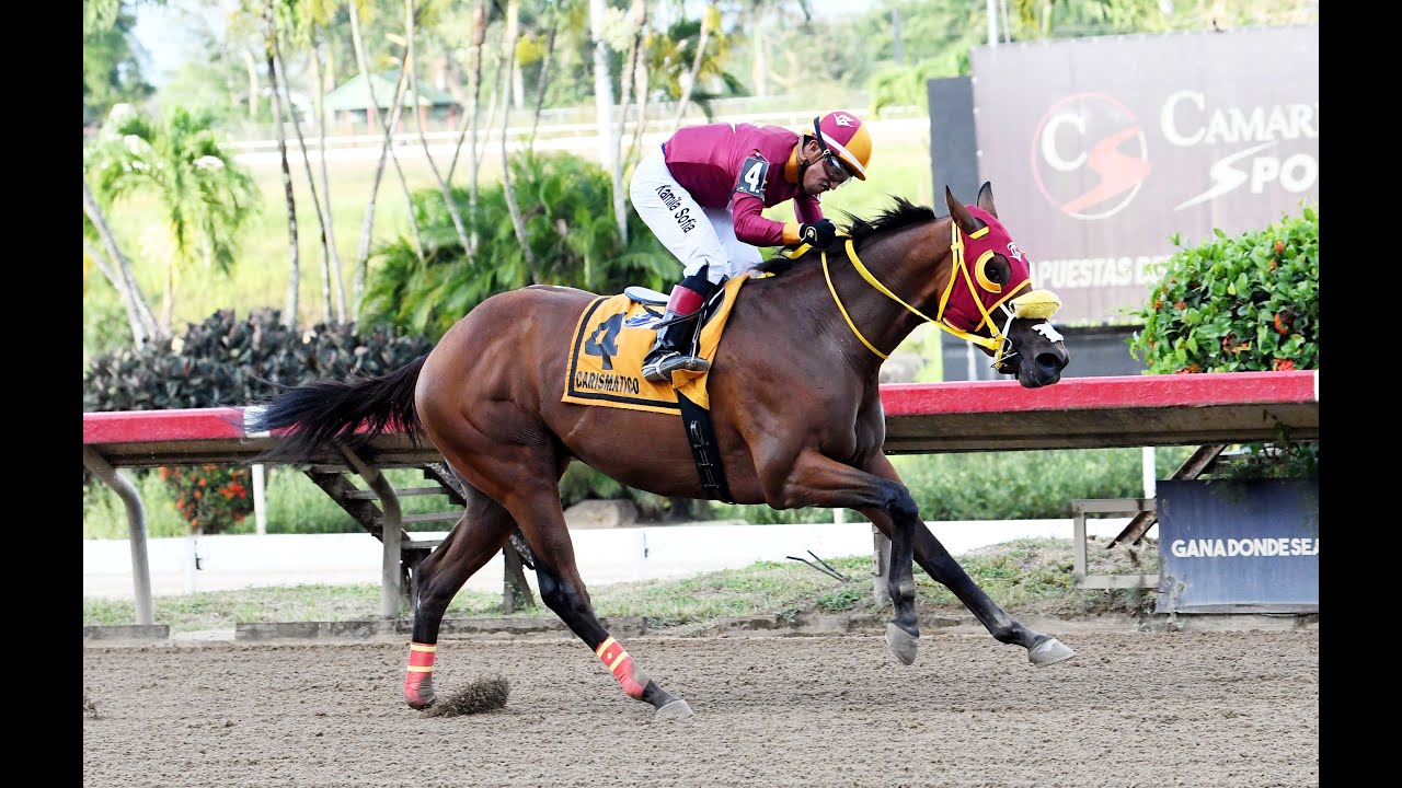 CARISMATICO - Copa San Juan 2025