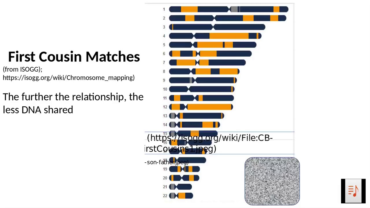 Chromosome Browser