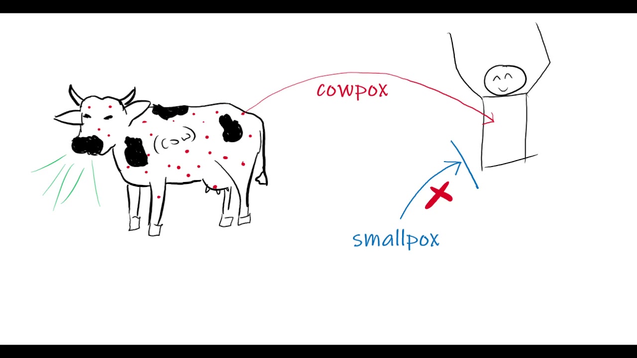 vaccine DNA, RNA, mRNA, traditional vaccines and mRNA vaccines COVID