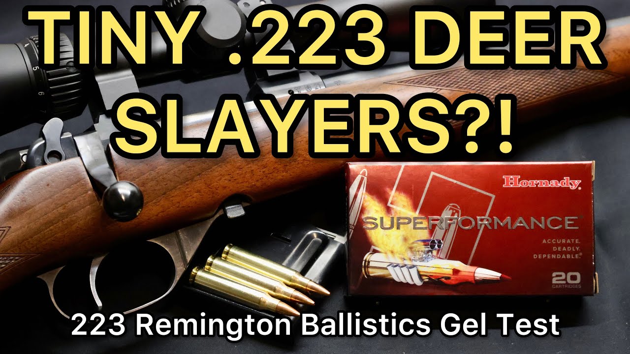 УБИЙСТВЕННАЯ МЕДЬ?! Тест патронов 223 Remington Hornady Superformance CX 50 и 55 гран