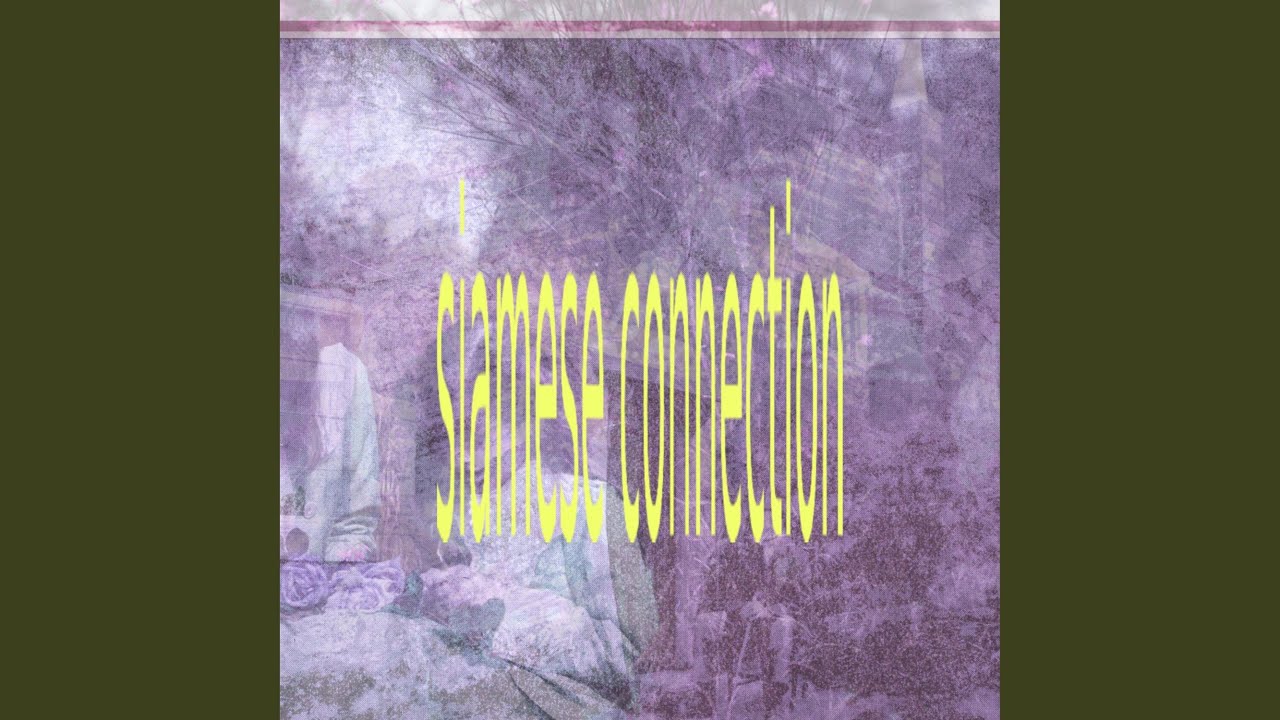 siamese connection