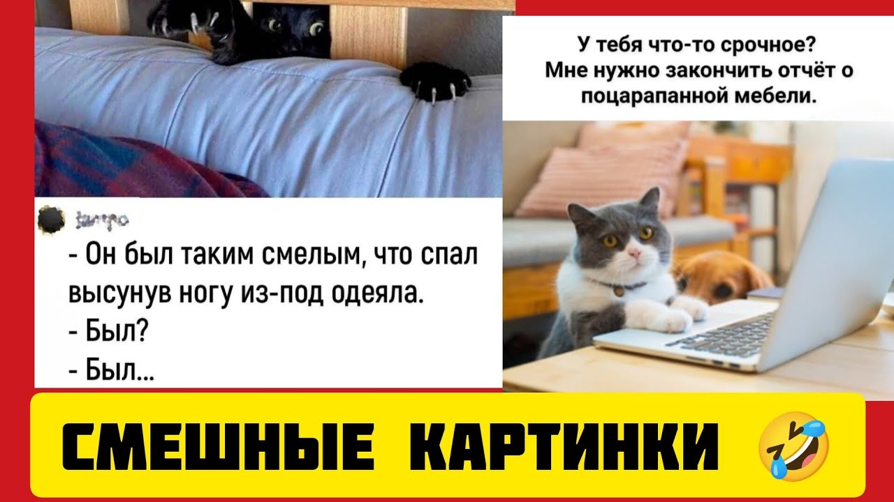 -Он был таким смелым, что спал высунув ногу из-под одеяла.Был?Был...🤣смешные картинки и музыка 