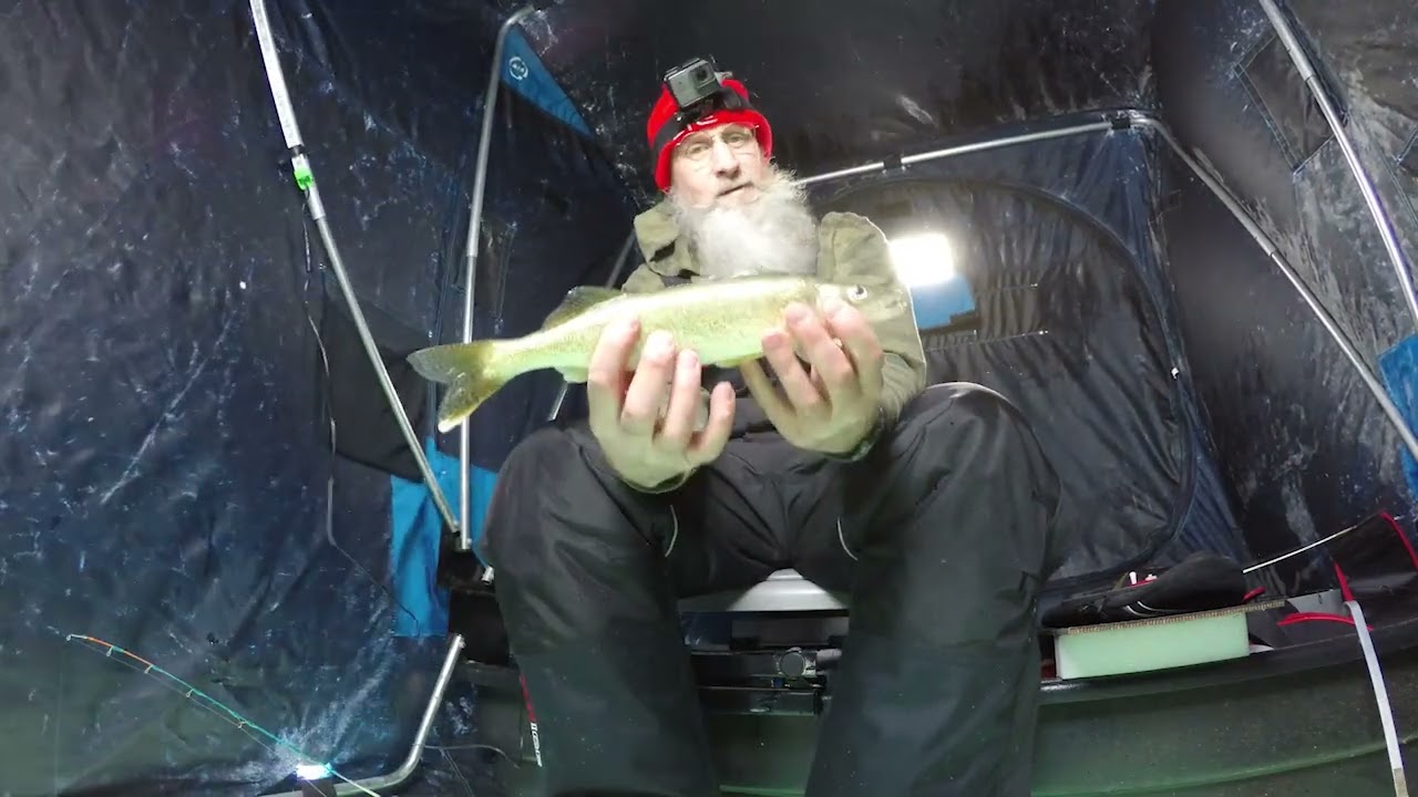 Chasing Lake St Clair Perch