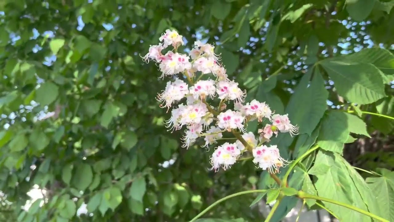 Oberhaching - মিউনিখ, জার্মানির কাছে একটি ছোট শহর