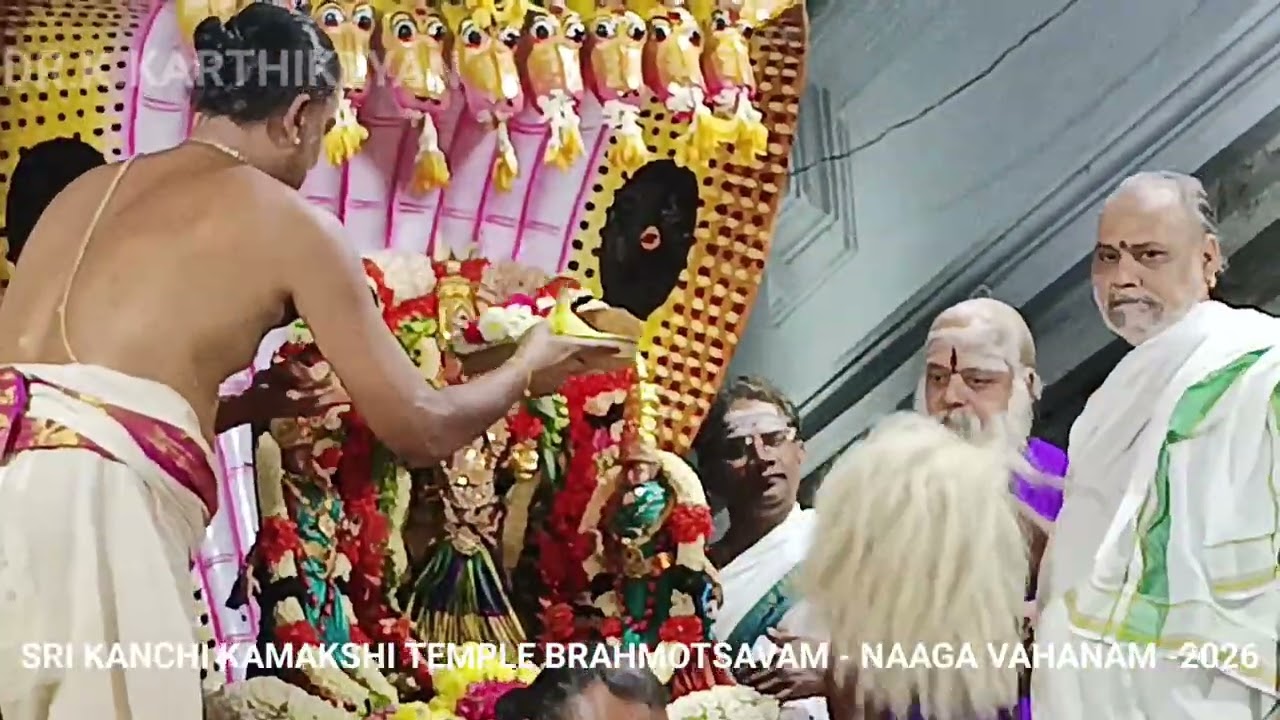 SRI KANCHI KAMAKSHI TEMPLE BRAHMOTSAVAM - NAAGA VAHANAM -2026