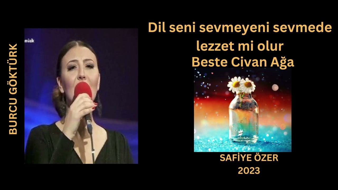 Dil seni sevmeyeni sevmede lezzet mi olur - Burcu Göktürk