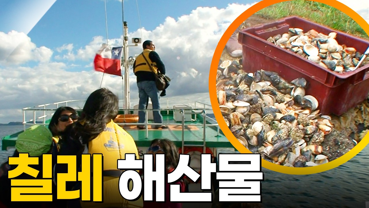 태평양 산 해산물이 잔뜩! 칠레 해산물 [걸어서세계속으로] KBS 161215 방송