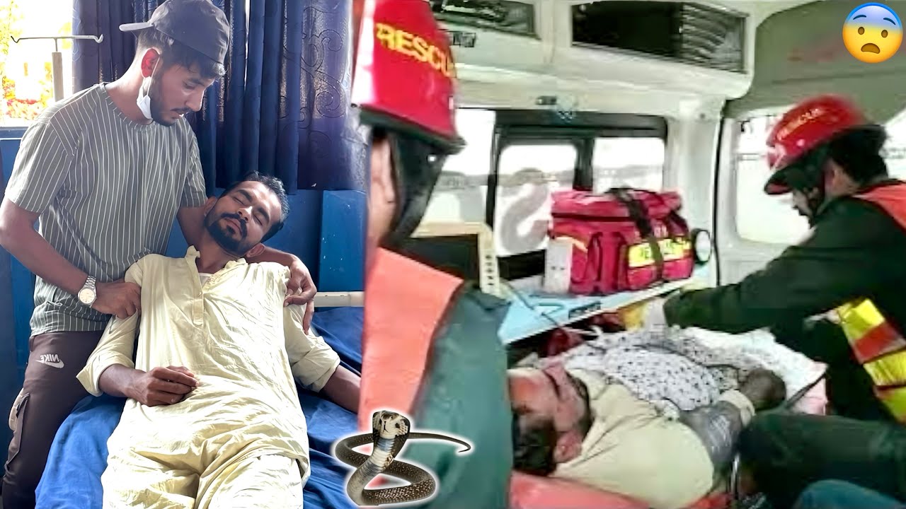 Because of the great reward of Hamza Shikari, great healing power has been lost💔