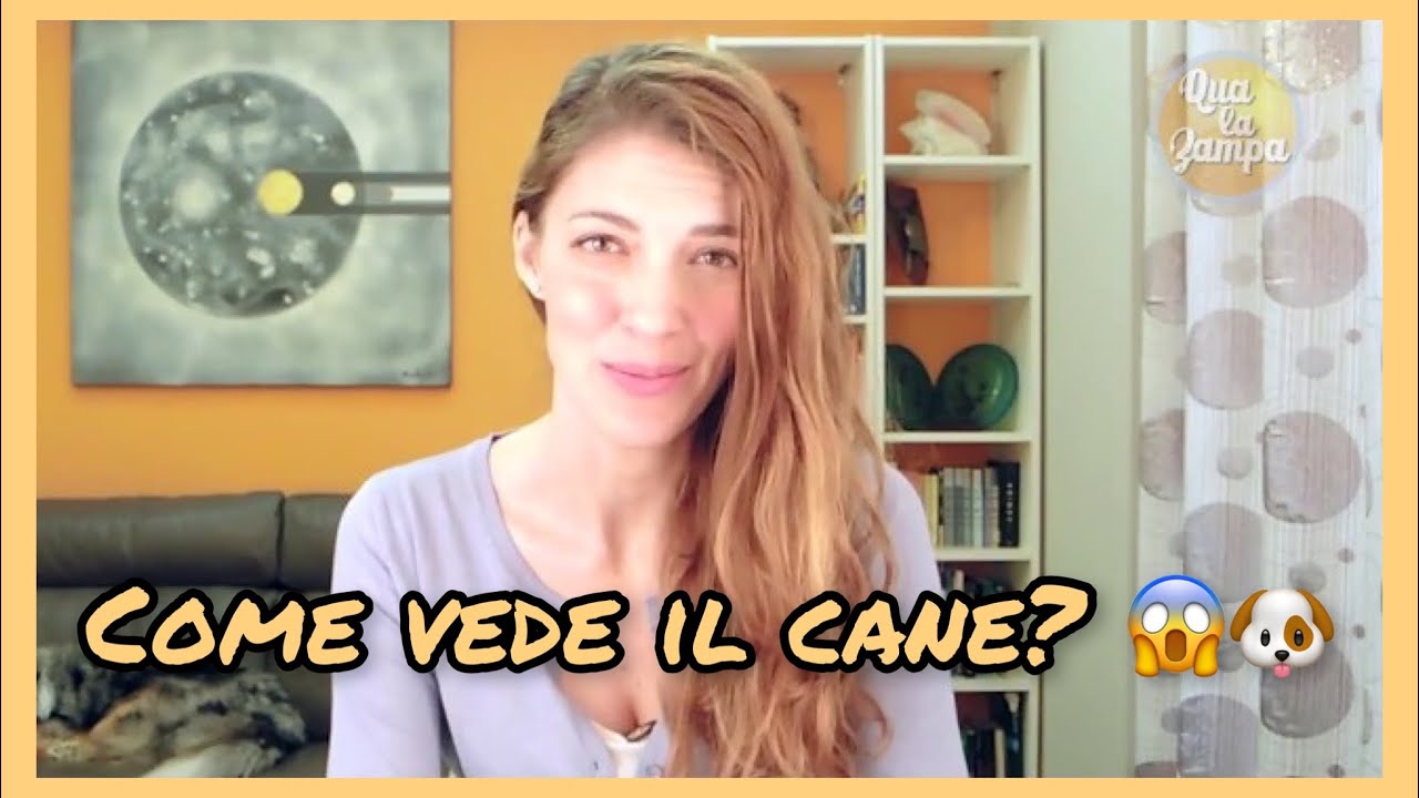 Come vede il cane? | Qua la Zampa