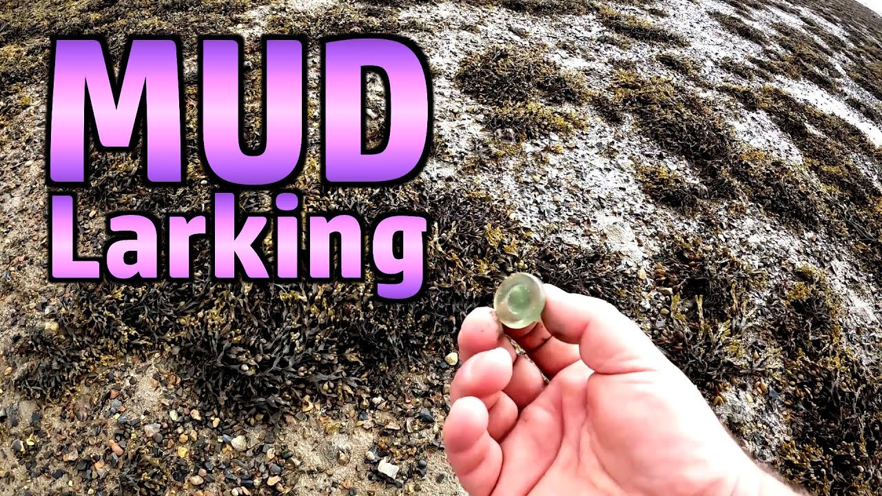 Mudlarking at Portchester Shore