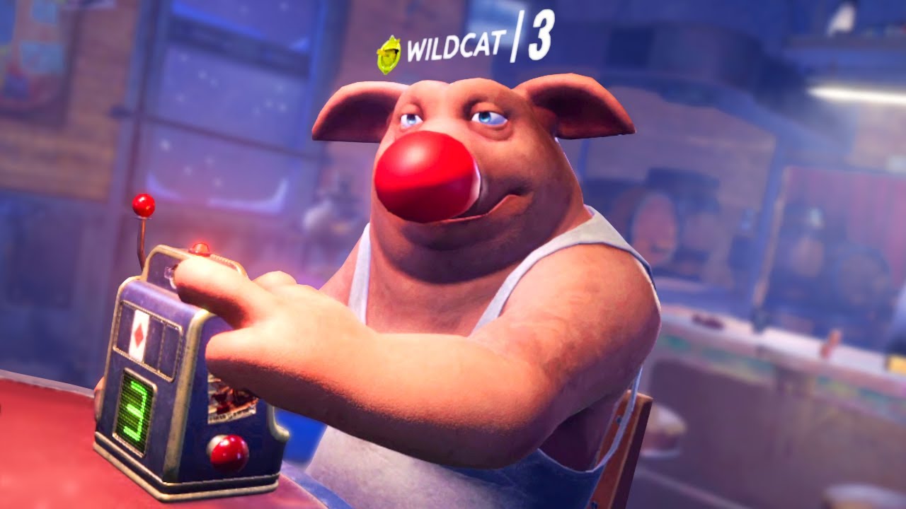 do NOT trust wildcat