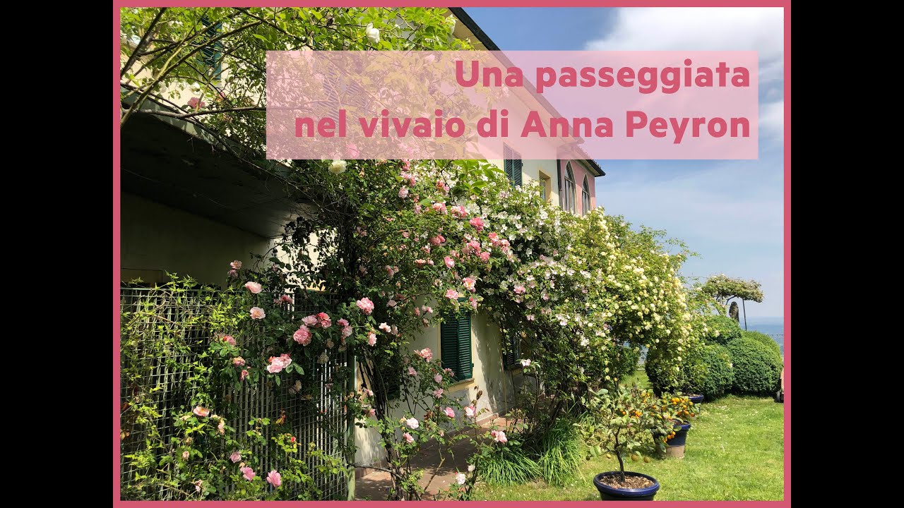 Anna Peyron | Un giardino tutto per me