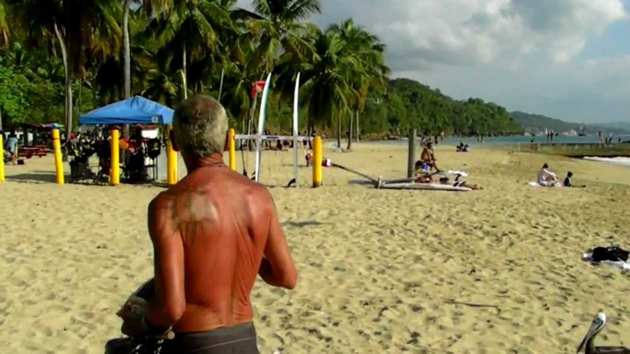 Pelican Dancing @ Crash Boat Aguadilla PR (Must See)