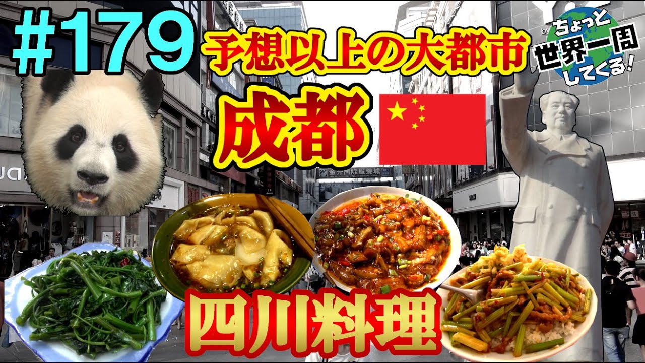 #179【予想を遥かに上回る大都市】パンダは遠くから見ると可愛いけど、寄りで見るとがっつり熊だった（成都 / 中国）世界一周 2011-2014
