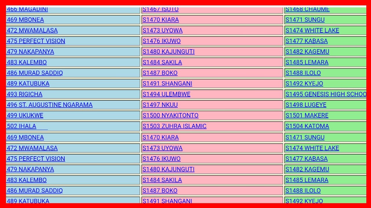 🔴 TAZAMA MATOKEO YA DARASA LA SABA NECTA 2025/2026 NAMNA YA KUPATA MATOKEO....
