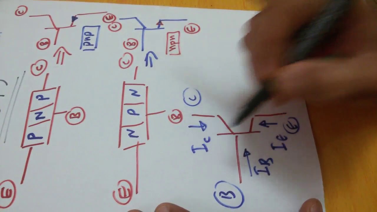 Transistor 16: BJT- basics أساسيات عمل ترانزستورألثنائي الوصلي