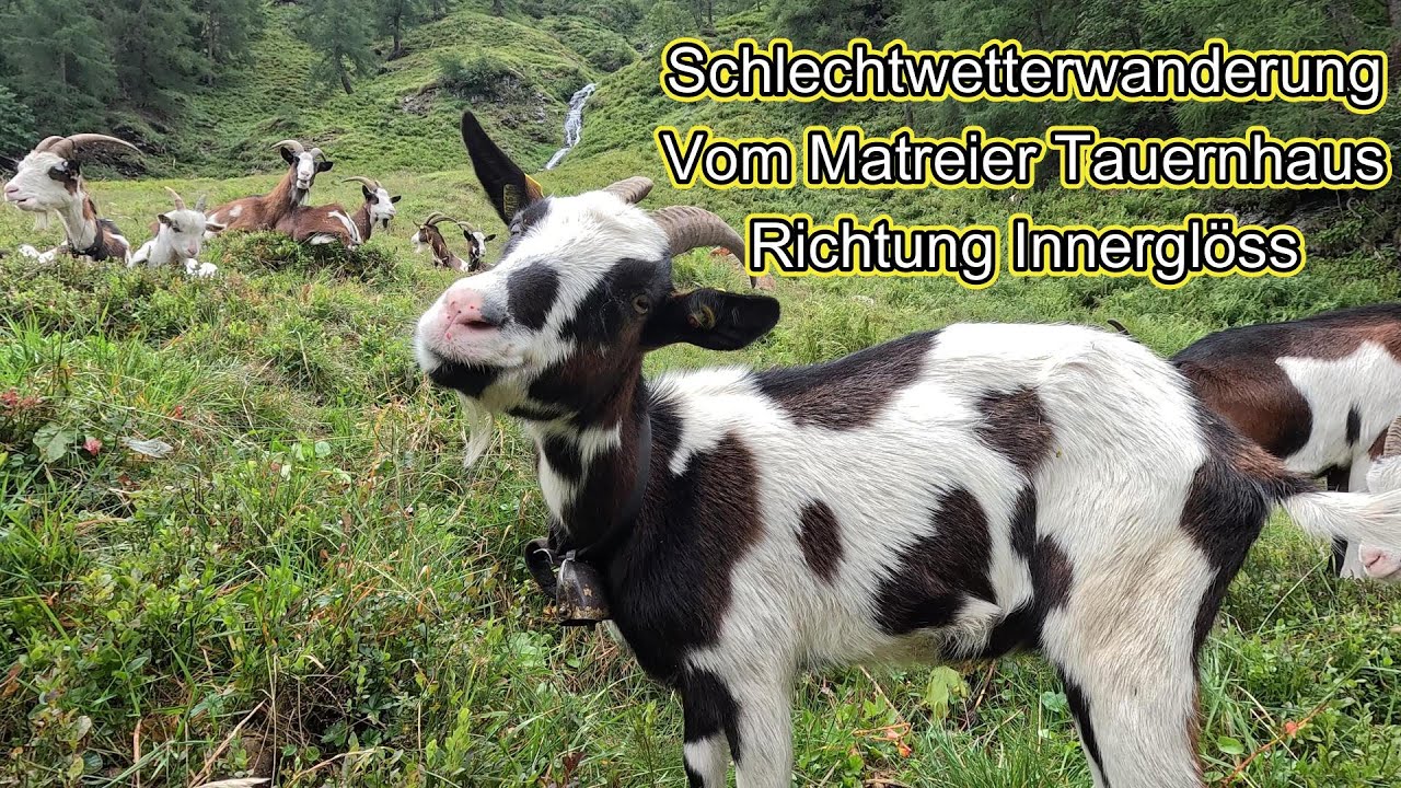 Matrei Tauernhaus Richtung Innergschlöss August 2025