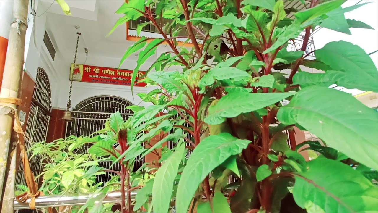 Durga Puja Vlog 2 Intro. #shorts #patnavlog #vlog #vlogging #india #durgapuja #navratri #festival