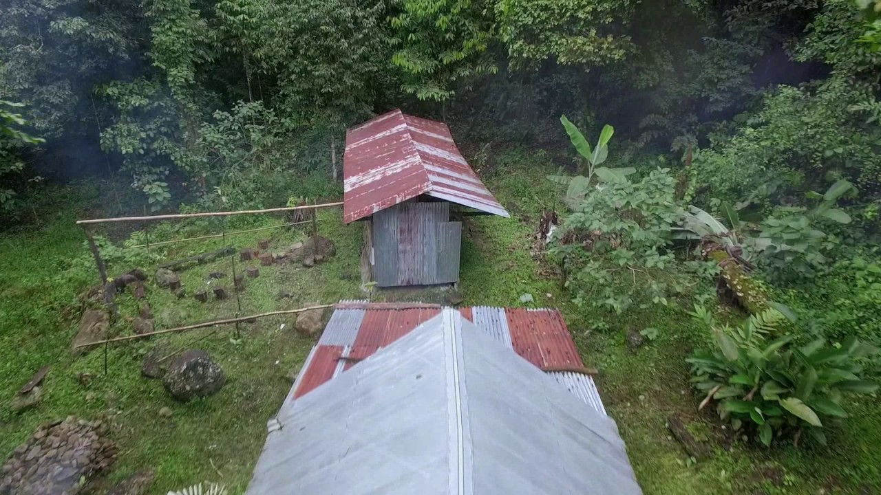 Kg.Kiau Hayo Hayo Jungle CampTrip