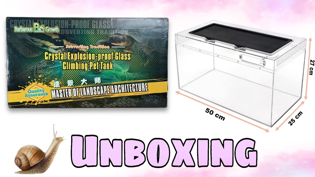 Faunarium für Schnecken 🐌 Unboxing