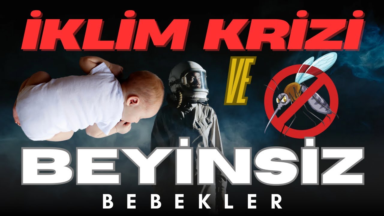 Bebek Beyinlerini Küçülten Virüs: Zika ve İklim Krizi
