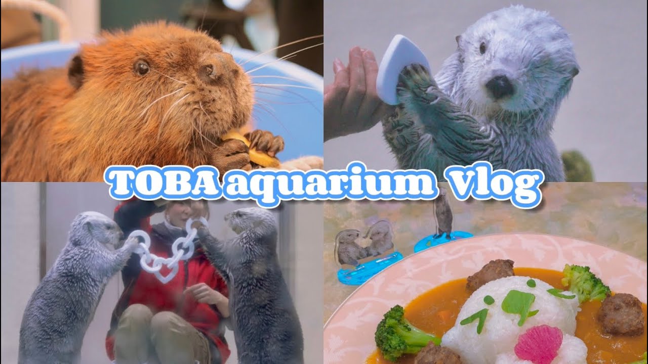鳥羽水族館 Vlog🦫