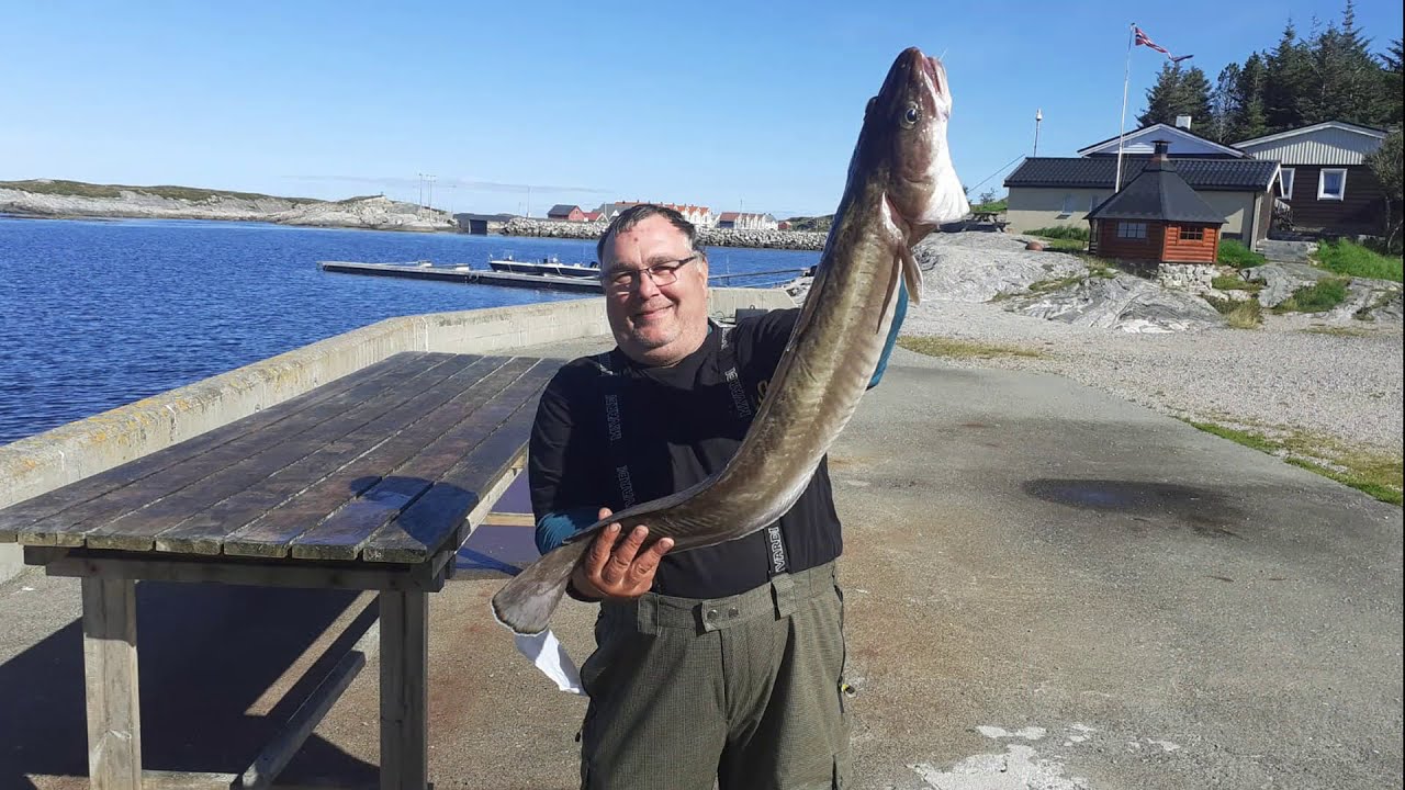 RYBOLOV - NORSKO AVEROY