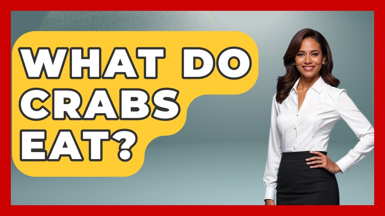 What Do Crabs Eat? - The Marine Life Explorer