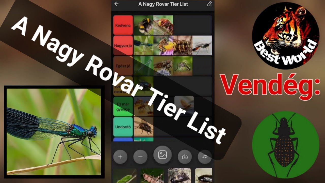 A Nagy Rovar tier list |Arthropodcast| 1. adás 1. rész  [vendég:@wildnature-atermeszetrolno4872]