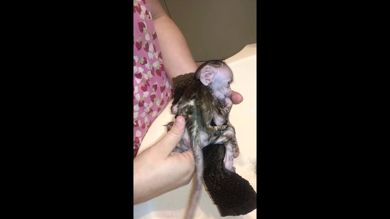 Peytons second bath hed ever had.