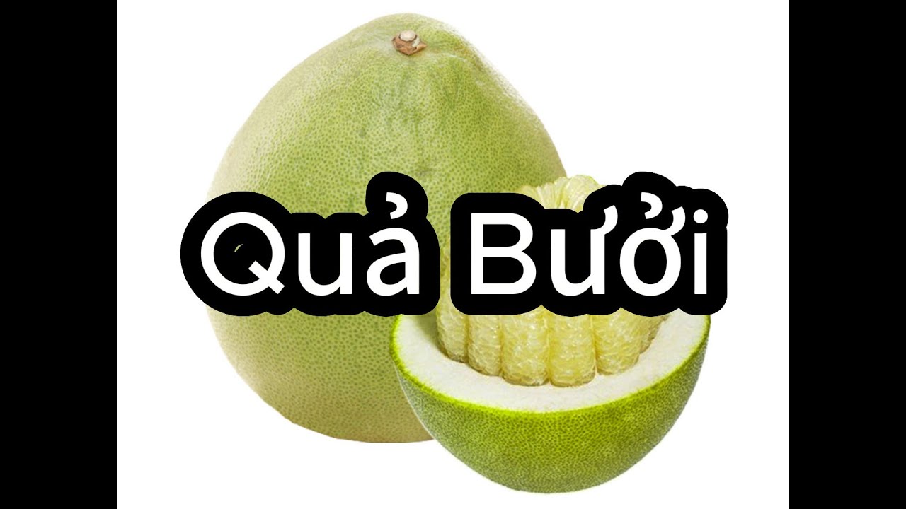 Dạy trẻ nhận biết quả Bưởi | C&aacute;c loại c&acirc;y ăn quả | Trẻ th&ocirc;ng minh | Quả Bưởi