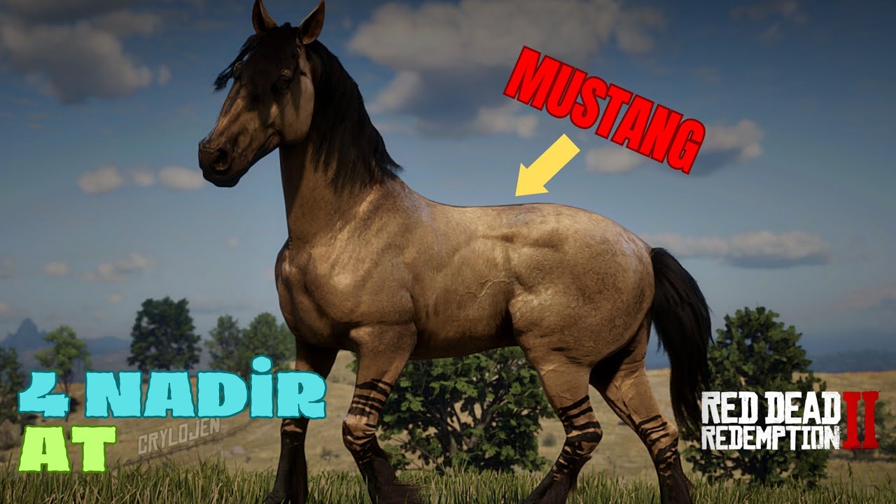 4 FARKLI AT! RDR2 ( BEDAVA )