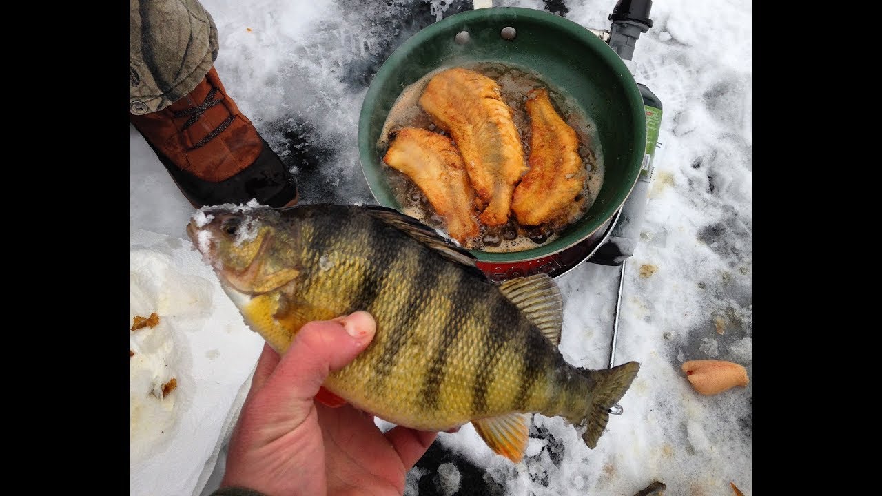Catch and Cook Perch on the Ice